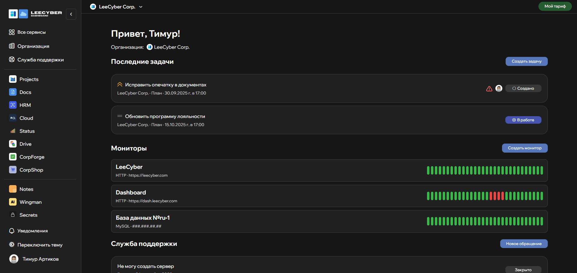 LeeCyber (Лисайбер)