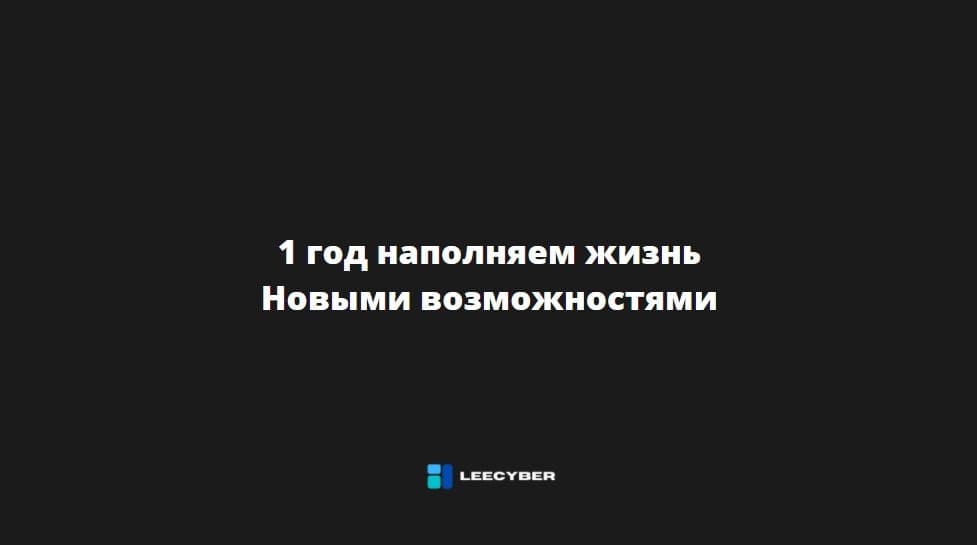 LeeCyber – 1 год.